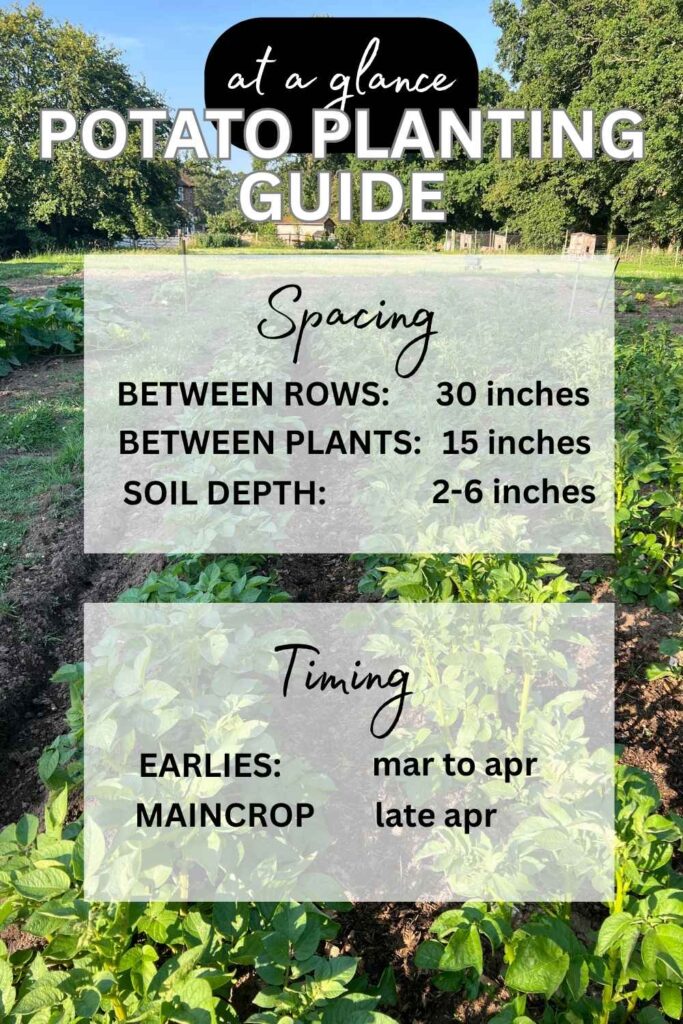 photo of potato field with text overlay giving planting space and time guides
