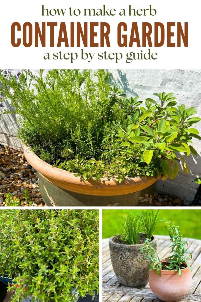 photos of herbs in pots and containers