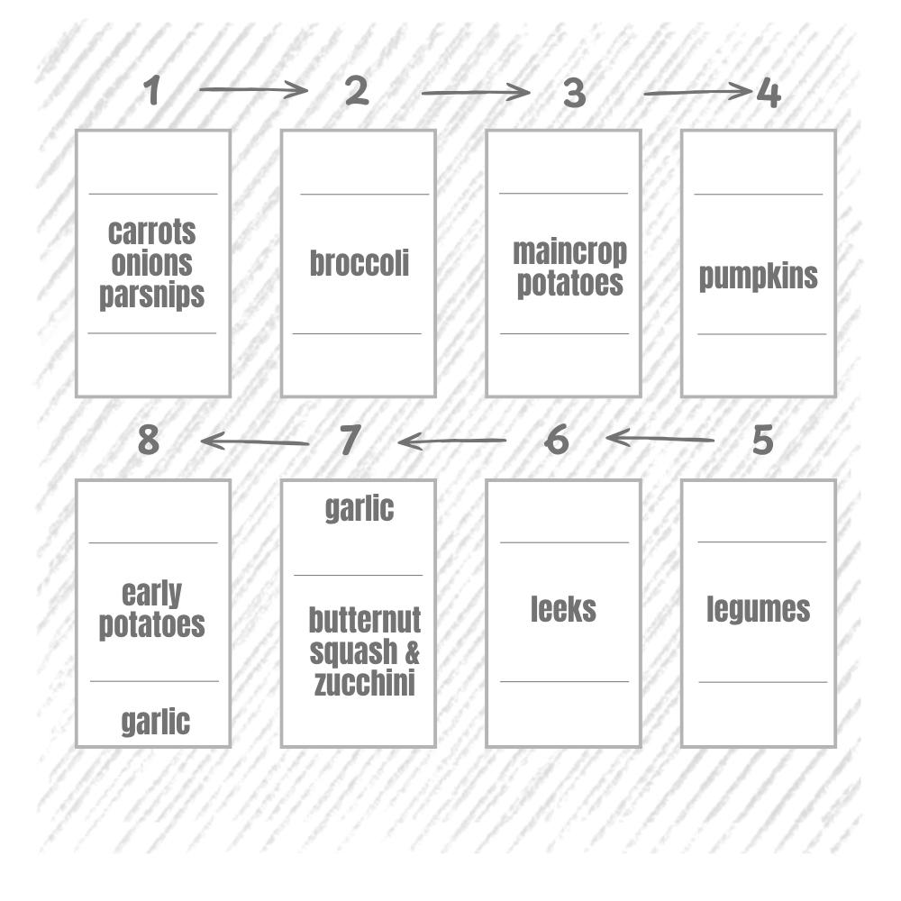 diagram of a vegetable patch plan with 8 plots