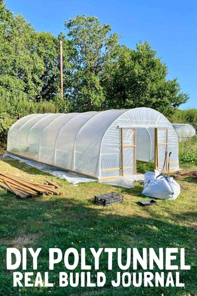 photo of a newly built polytunnel