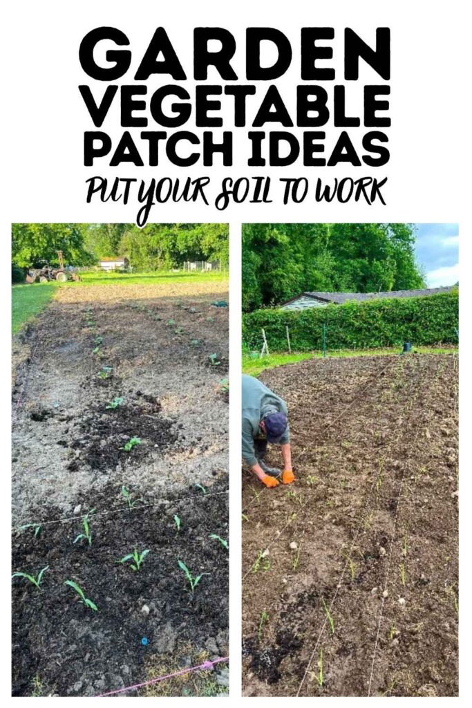 photos of garden vegetable patch ideas