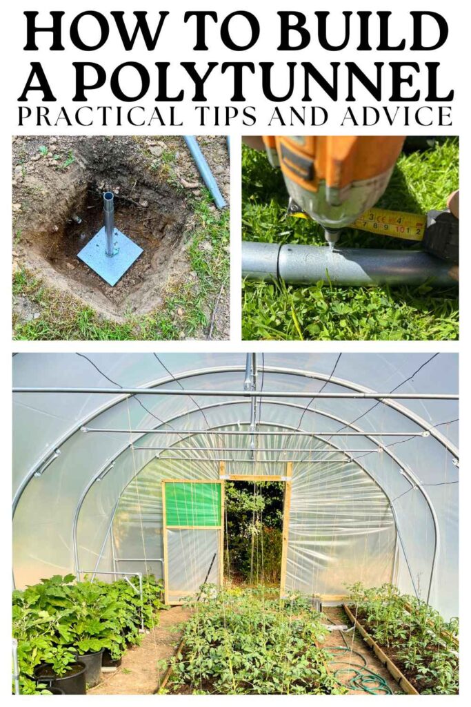 photos of polytunnel construction