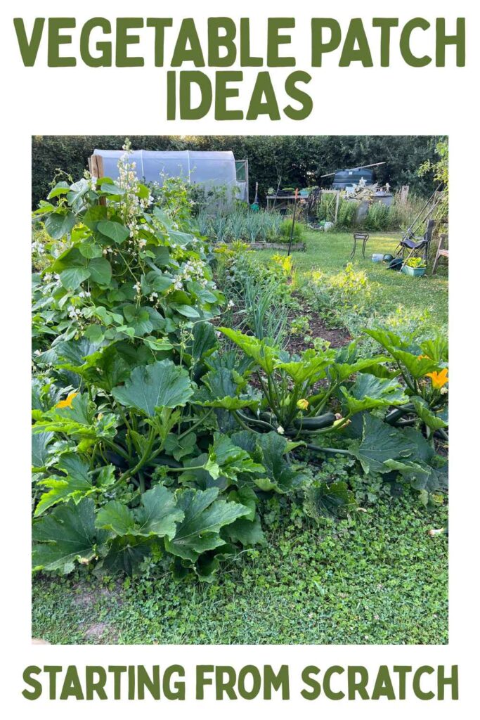 photo of a vegetable patch