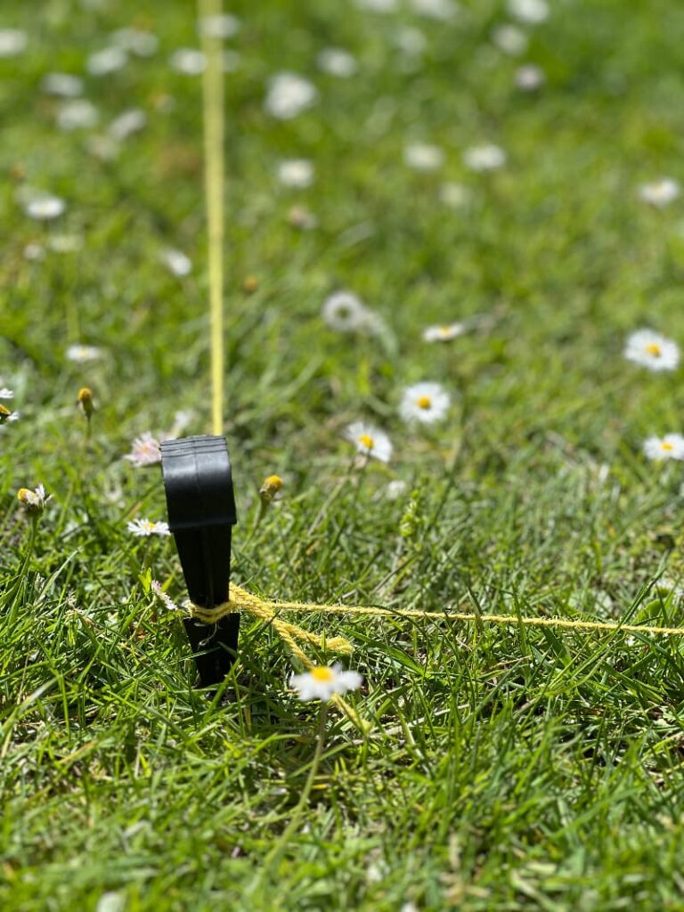 photo of string and plastic plot marker