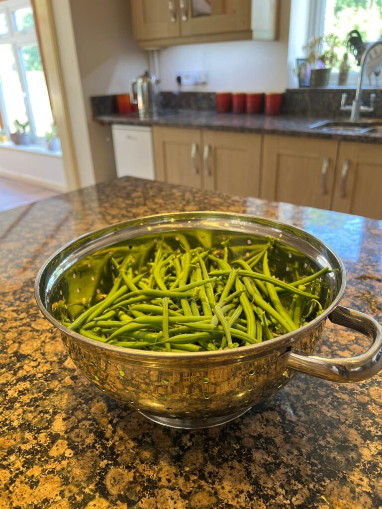 photo of green beans in a colander