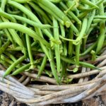 photo of green beans in a basket